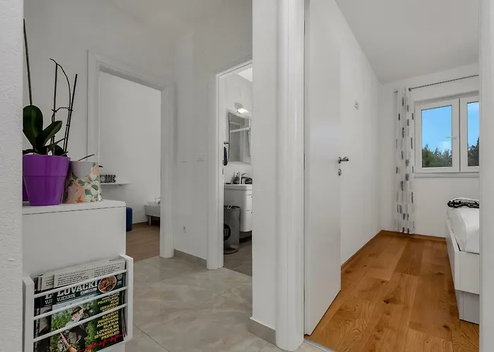 Jug Apartament *